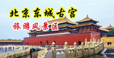 大鸡巴插骚穴直播视频中国北京-东城古宫旅游风景区